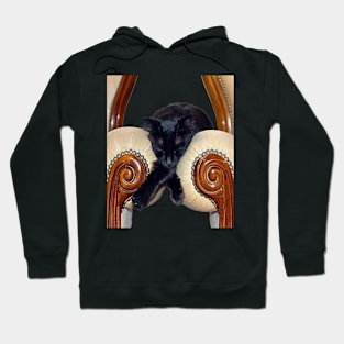 Black Cat Slouched Between Two Chairs Legs Crossed Hoodie